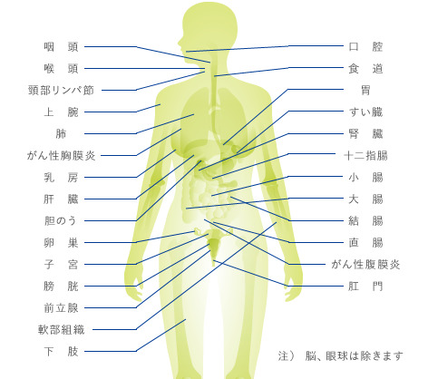高周波式ハイパーサーミアシステムアスクーフ8