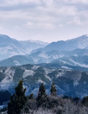 ステージングテスト投稿